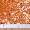 MIYUKI Round Rocailles Beads X-SEED-G007-RR0009-4