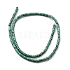 Natural Howlite Beads Strands G-F791-A01-3