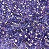 Glass Seed Beads SEED-S042-04A-08-3