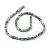 Natural Green Spot Jasper Beads Strands G-F631-K18-2