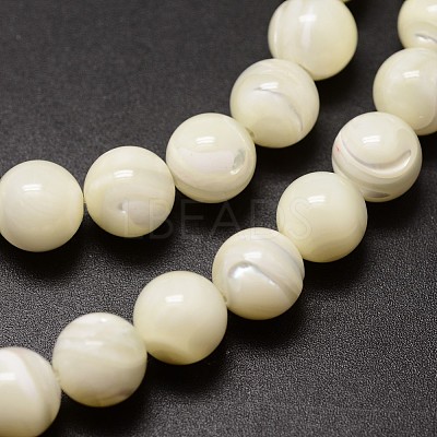 Shell Beads Strands SSHEL-E571-39-8mm-1