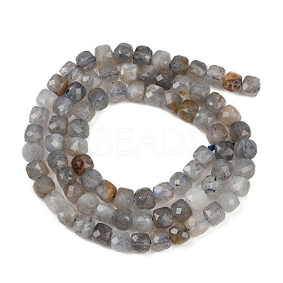 Natural Labradorite Beads Strands G-RM2025-C34-C-1