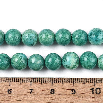Dyed Synthetic Fossil Beads Strands G-T139-8mm-66E-1