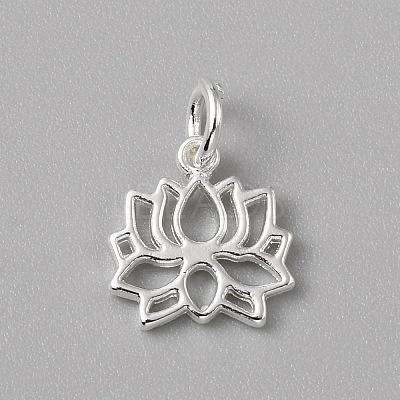 Brass Charms FIND-WH0159-63S-05-1