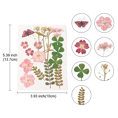 Pressed Dried Flowers DIY-YWC0001-95-1