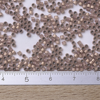 MIYUKI Delica Beads SEED-J020-DB0191-1