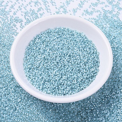 MIYUKI Delica Beads X-SEED-J020-DB0628-1