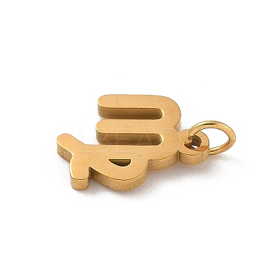 304 Stainless Steel Charms LS-STAS-R001-04G-06-1