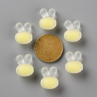 Transparent Acrylic Beads TACR-S152-12C-SS2105-1