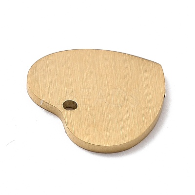 Ion Plating(IP) 304 Stainless Steel Pendants STAS-F271-06B-G-1