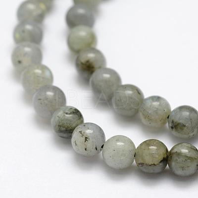 Natural Labradorite Beads Strands G-P322-29-6mm-1