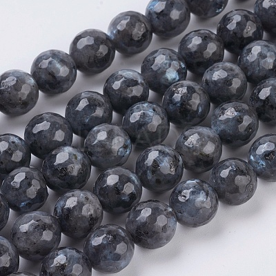Natural Larvikite Beads Strands G-G542-10mm-27-1