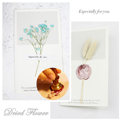 DIY Scrapbook AJEW-CP0002-89H-1