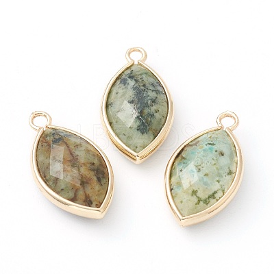 Natural Gemstone Pendants G-B009-01G-N-1