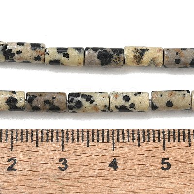 Natural Dalmatian Jasper Beads Strands G-B091-A19-01-1
