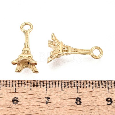 304 Stainless Steel Pendants STAS-N109-258G-1