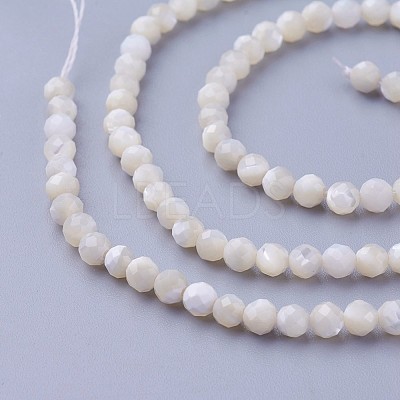 Shell Beads Strands G-F619-27-3mm-1