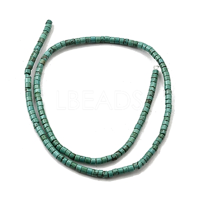Natural Howlite Beads Strands G-F791-A01-1