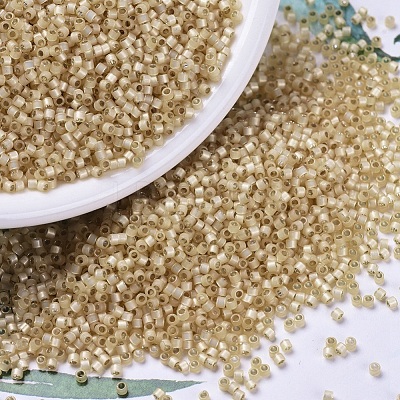 MIYUKI Delica Beads SEED-X0054-DB0621-1
