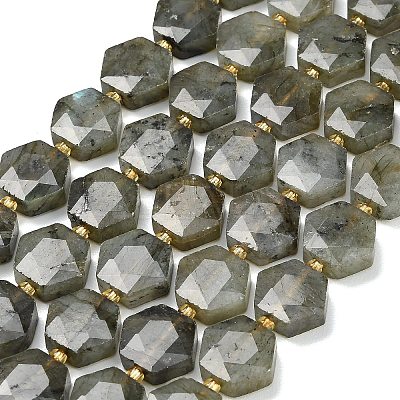 Natural Gray Labradorite Beads Strands G-L660-A02-01-1