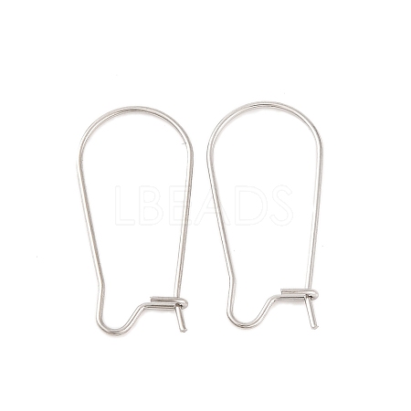 Tarnish Resistant 316 Surgical Stainless Steel Hook Earrings STAS-E009-5-1