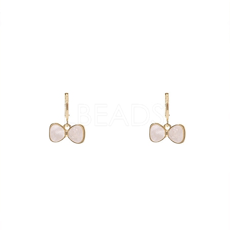 Alloy & Resin Dangle Earrings for Women FS-WG67811-55-1
