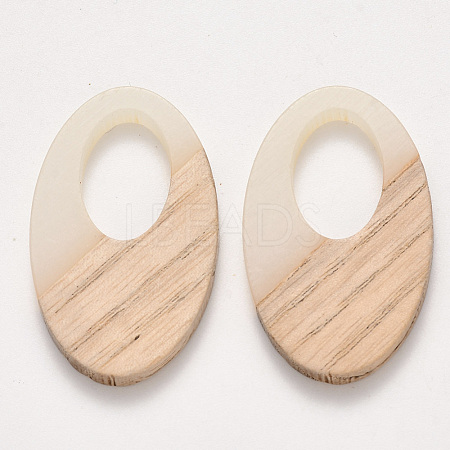 Transparent Resin & Wood Pendants RESI-S384-001A-C01-1