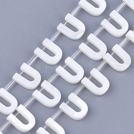 Freshwater Shell Beads X-SHEL-T012-59U-1