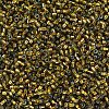 MIYUKI Delica Beads SEED-J020-DB0604-3