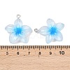 Transparent Resin Pendants RESI-P048-01P-4