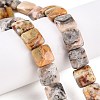 Natural Crazy Agate Beads Strands G-T138-164-1