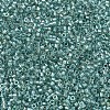 MIYUKI Delica Beads SEED-MY11-DB1767-3