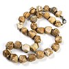 Natural Picture Jasper Nuggets Beaded Necklaces for Women Men NJEW-K388-01F-1
