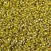 Baking Paint Silver Lined Glass Seed Beads SEED-H003-09E-2