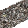 Natural Labradorite Beads Strands G-Q060-E20-01-2