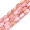 Freshwater Shell Beads Strands SHEL-T009-B15-02-1