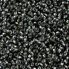 MIYUKI Round Rocailles Beads X-SEED-G009-RR0021-3