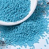 MIYUKI Round Rocailles Beads X-SEED-G007-RR4478-1