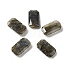 Natural Mixed Stone Cabochons G-C057-04B-2
