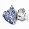 Natural Sodalite Pendants G-N332-022-05-2