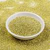 MIYUKI Round Rocailles Beads SEED-X0056-RR0554-2