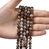 Natural Gobi Agate Beads Strands G-Z119-A36-02-2