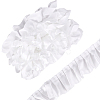 1Roll Polyester Ribbons SRIB-ME0001-15B-1