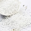 Baking Paint Glass Seed Beads SEED-A033-04M-1