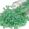 TOHO 6/0 Round Beads X-SEED-TR06-1144-1
