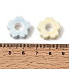 Handmade Porcelain European Beads PR-CBA64B6-06-3