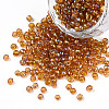 Round Glass Seed Beads X1-SEED-A007-3mm-162C-1