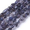 Natural Iolite Beads Strands G-P433-13-2