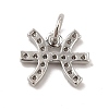 Brass Micro Pave Cubic Zirconia Charms KK-E077-02P-03-2
