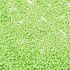 Baking Paint Glass Seed Beads X-SEED-S042-05B-65-3